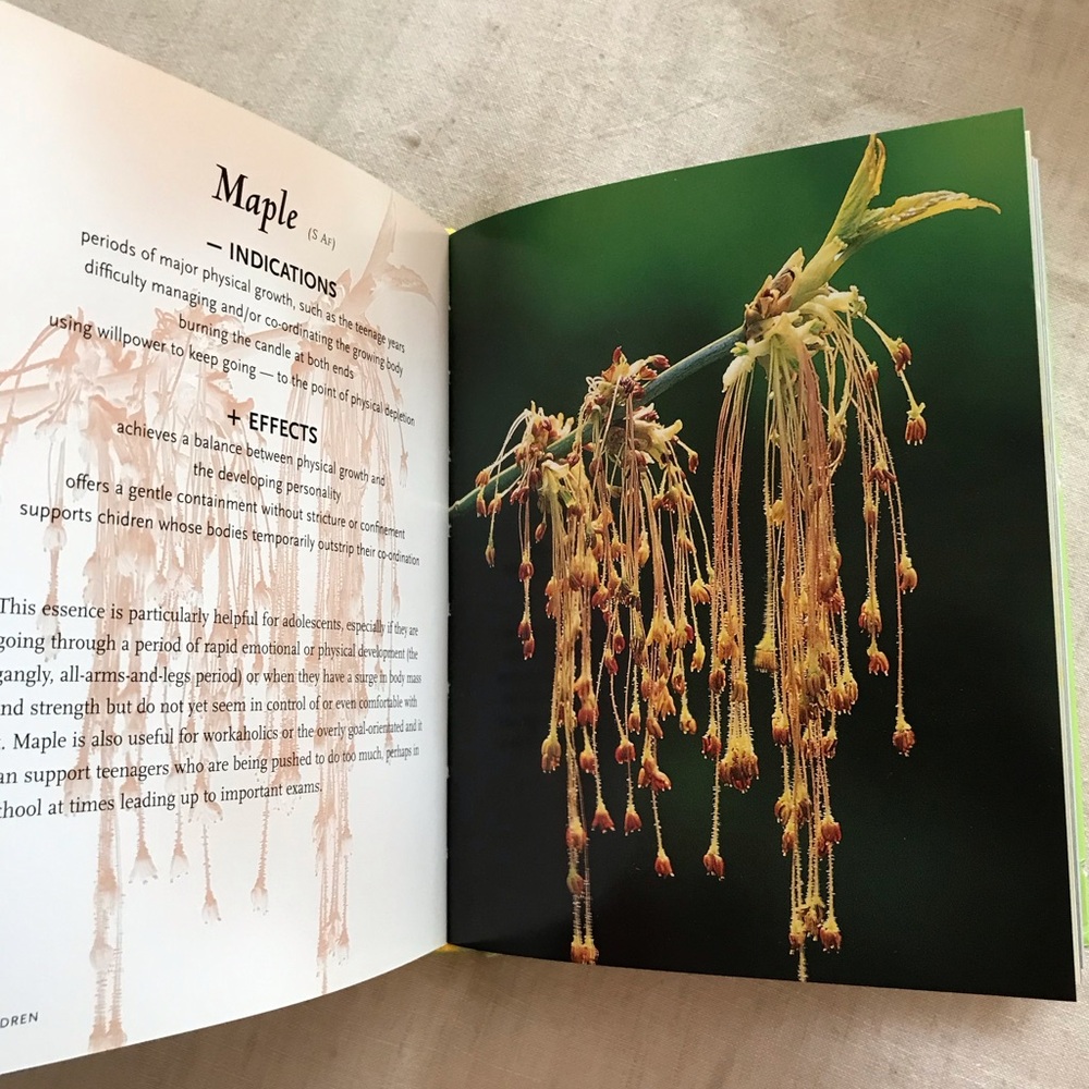 Heal Yourself With Flowers Book - Picture 5 of 7